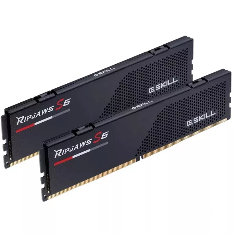 G.skill F5-6800J3446F24GX2-RS5K Memory Module