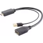 HDMI to DisplayPort adapter ShiverPeaks 10-01010 — 4K, 30 cm cable