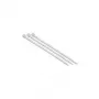 Synergy 21 ALLNET 19zbh. Cable Tie L200xB3.6mm 100-Pack Transparent