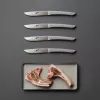Berkel steak knife set 4-piece Color Grey