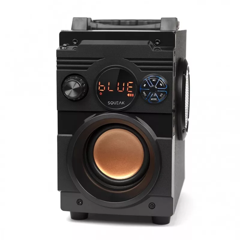 Squeak Bassblaster Bluetooth 5.1 Speaker, Fm Radio, Mp3 Player Sq1001