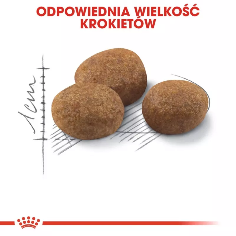ROYAL CANIN Sterilised 7+ - dry cat food - 10 kg