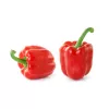 Seed mix Seklos LT PNOS — Sweet Pepper seeds, packet 0.6 g