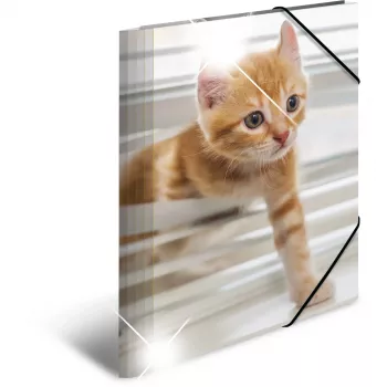 Conventional file folder HERMA 19328
