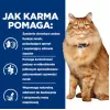 HILL'S PD K/D Kidney + Mobility Chicken - dry cat food - 3kg