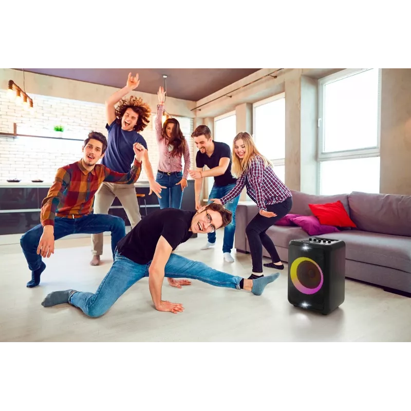 Speaker TAX3206/10, 10W