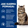 HILL'S PD Gastrointestinal Biome - dry cat food - 1,5 kg