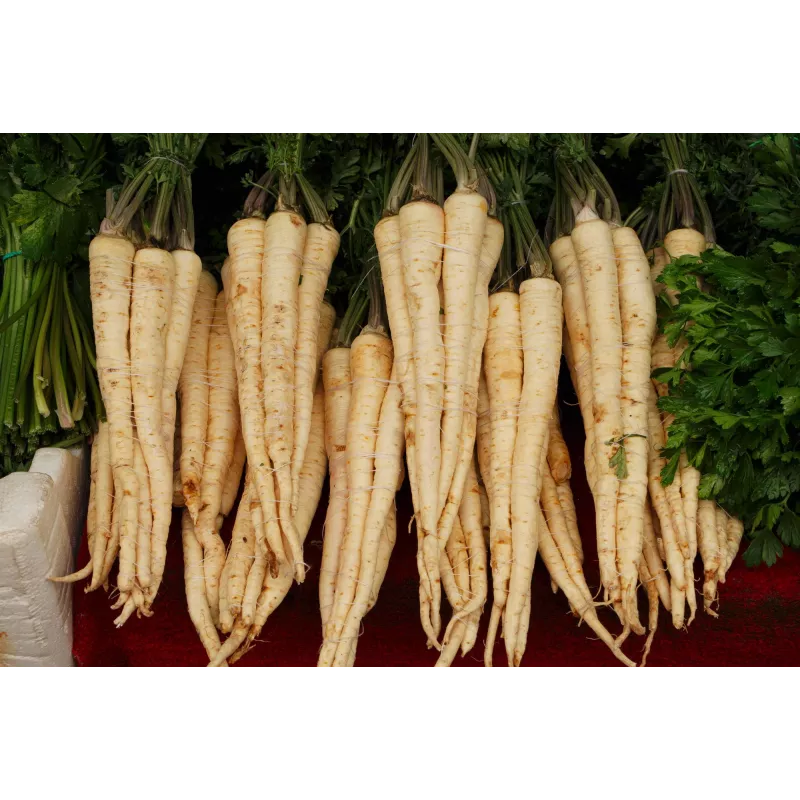 Sugar Parsley Toraf Vegetable Seeds, 5g Pack