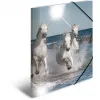 Conventional file folder HERMA 19329
