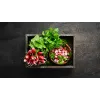 Opolanka Radish Toraf Vegetable Seeds, 10g Pack
