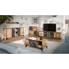 Cama 4D RTV cabinet OVO 180x38xH53 oak/concrete