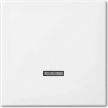 Busch-Jaeger 6543-914-102 Cover Plate for Sensor Holder & -Socket White (2CKA006599A3018)
