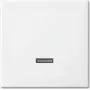 Busch-Jaeger 6543-914-102 Cover Plate for Sensor Holder & -Socket White (2CKA006599A3018)