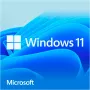 Windows 11 Home, operating system software 64-Bit, German, USB flash drive
