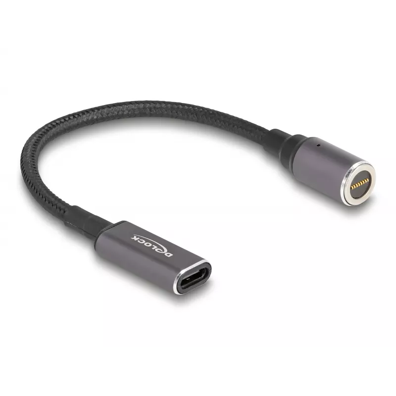 Power Cable DeLOCK 80781 0.15m USB C 8-pin 20V