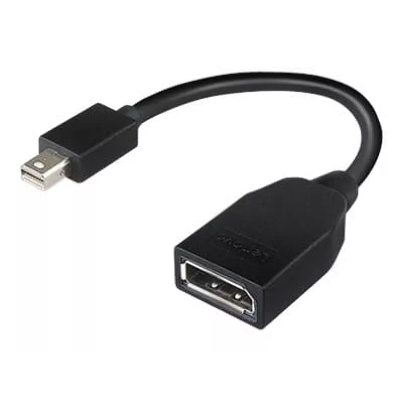Lenovo 4X90L13971 DisplayPort cable Mini DisplayPort Black