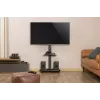 Gembird TVS-75S-02 TV floor stand with caster wheels, 37 - 75, black
