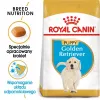 Royal Canin Golden Retriever Puppy Dry Dog Food 12 kg