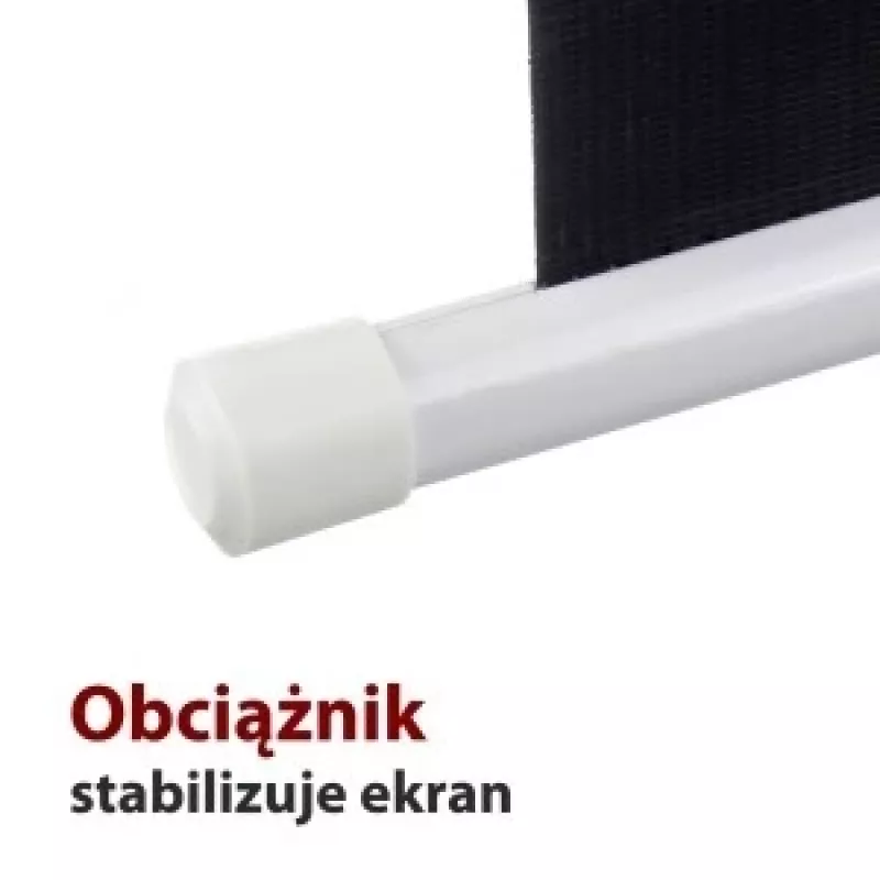 An electric screen 16: 9 119 with the remote control 264x147cm FS-119 16 9
