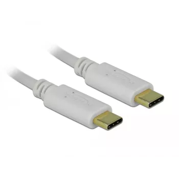 Delock - USB-C / power cable - 24 pin USB-C (M) to 24 pin USB-C (M) - 5 A - 15cm - USB-Power Supply (100 W), Supports Power Delivery 2,0 - White (85357)