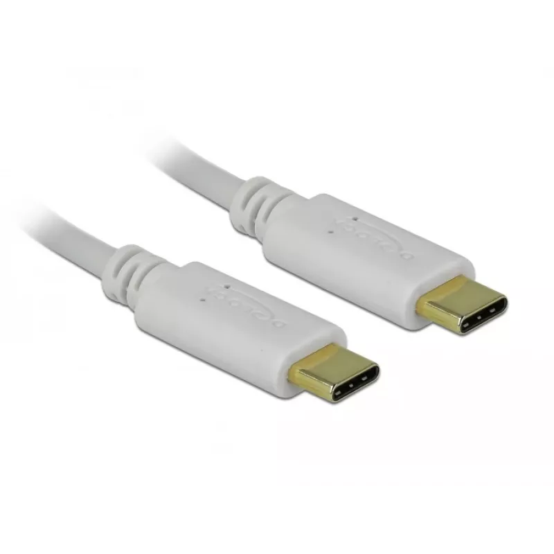Delock - USB-C / power cable - 24 pin USB-C (M) to 24 pin USB-C (M) - 5 A - 15cm - USB-Power Supply (100 W), Supports Power Delivery 2,0 - White (85357)