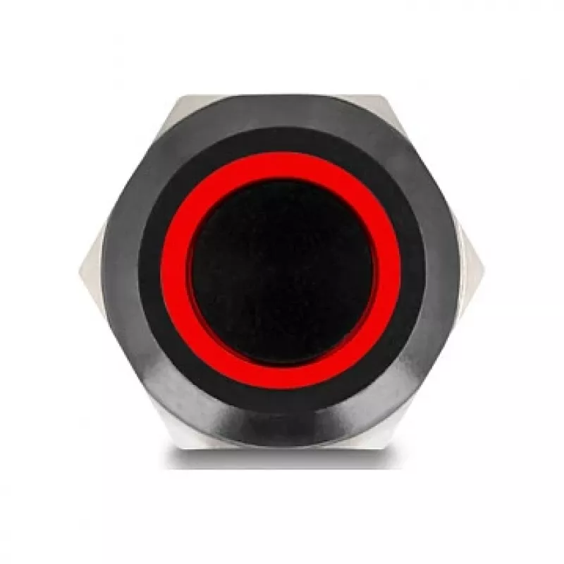 Push button switch DELOCK 22014, 12 mm, 12 V