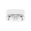 Headphones Belkin SoundForm Rhythm