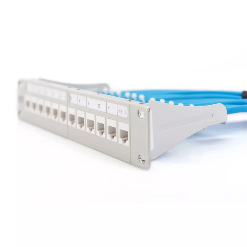 Modular Patch Panel Digitus DN-91419 12-port