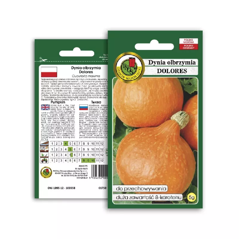 Seeds — Apte Dynia Olbrzymia Dolores (giant pumpkin) seeds, packet 5 g