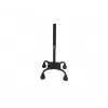 Quad cane mobility aid, four-point walking cane