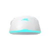 Mouse Baracuda BGM-122 Turtle White TURTLE-W