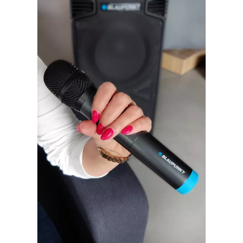 Microphone Blaupunkt WM60UDB