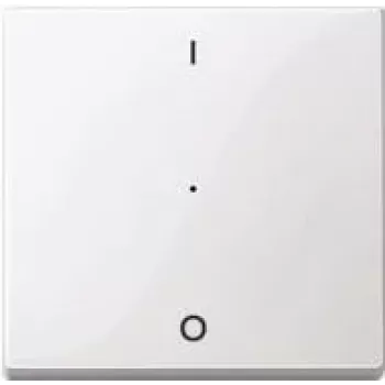 Merten MEG5211-0319 Electrical Switch White (MEG5211-0319)