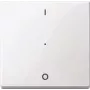 Merten MEG5211-0319 Electrical Switch White (MEG5211-0319)