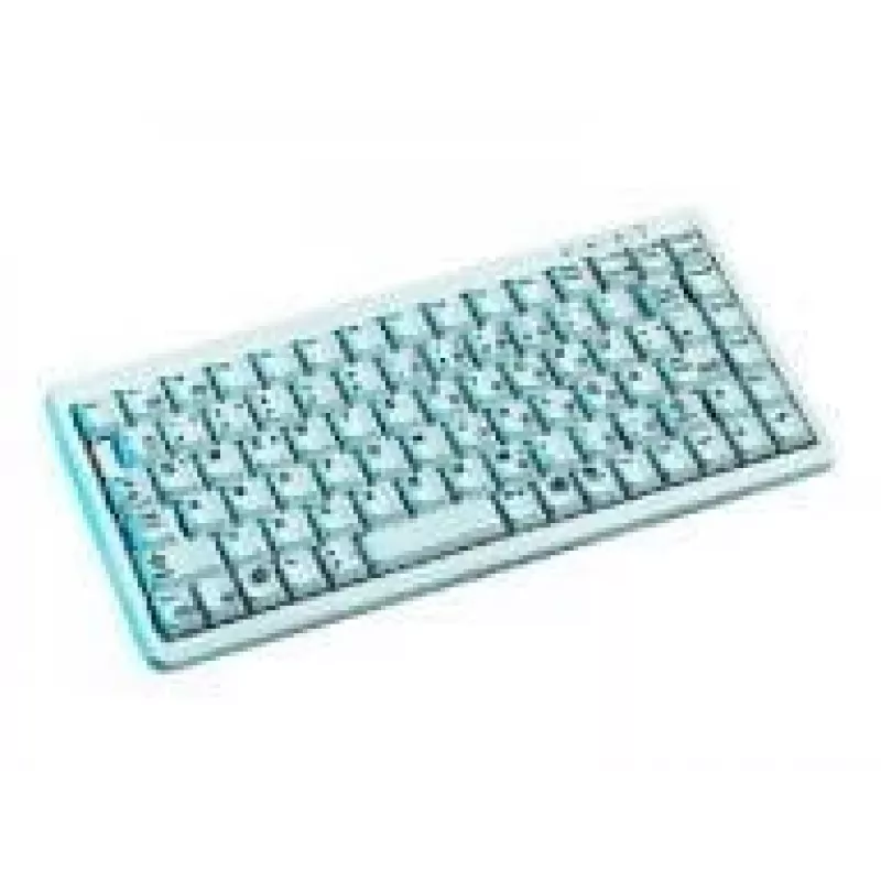 CHERRY Compact G84-4100, light grey, CH keyboard USB + PS/2