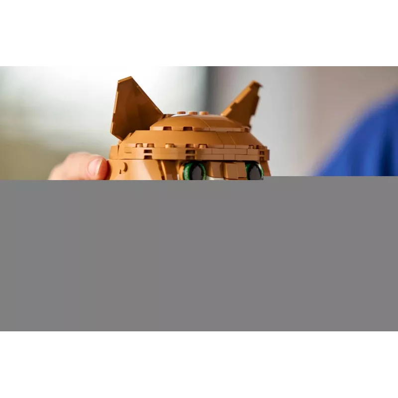 LEGO IDEAS 21376 Orange Cat