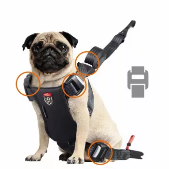 Dog harness ZOLUX TRAVEL SAFE S, size S, red