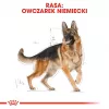 Dry dog food Royal Canin German Shepherd Adult, 11 kg — large breed, poultry, 24% protein, 19% fat