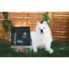 ADDVENA Taste Sensations Adult Medium/Large Turkey - dry dog food - 10kg