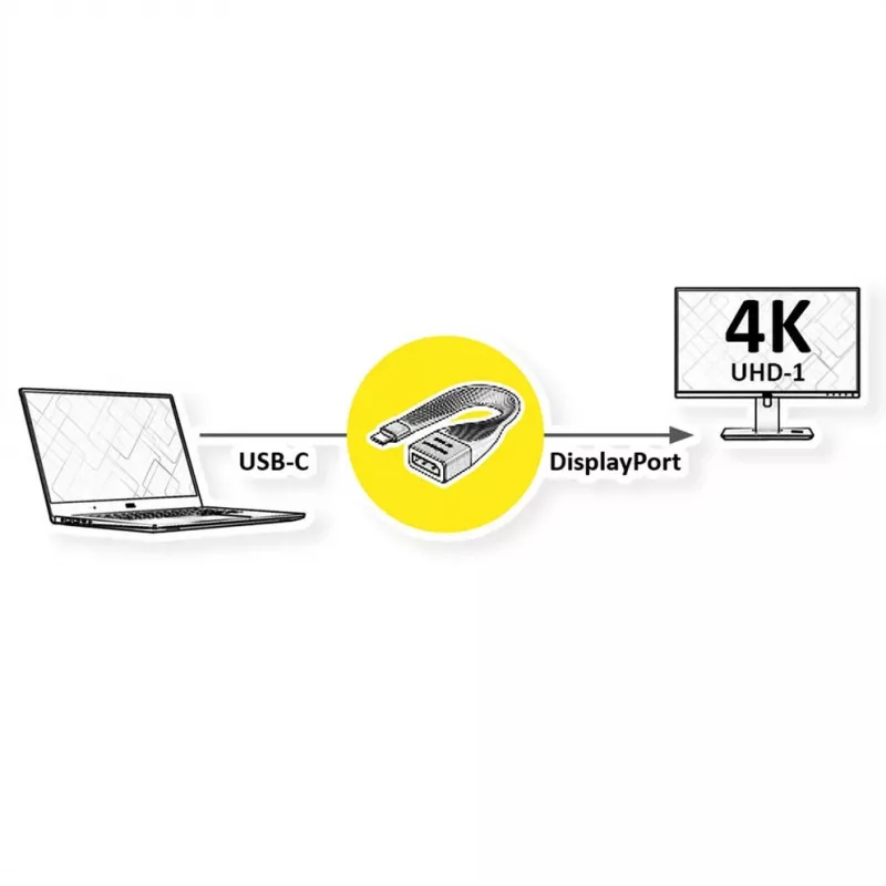 ROTRONIC-SECOMP Roline - Adapter Cable - USB-C (M) to DisplayPort (W)