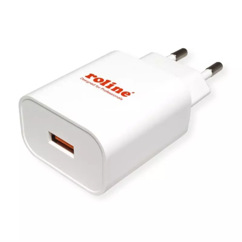 Indoor Charger ROLINE 19111061 Universal White AC Fast Charging
