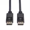 ROLINE 11445763 DisplayPort Cable 3 m Black