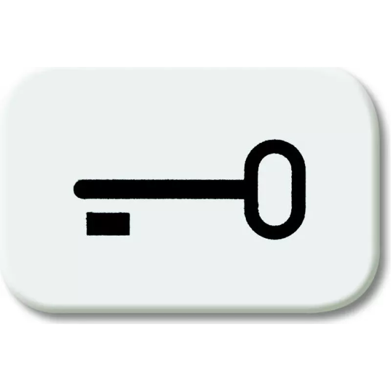 BJ - Reflex SI - Tastersymbol Schlüssel *alpinweiss* (2525TR-214)