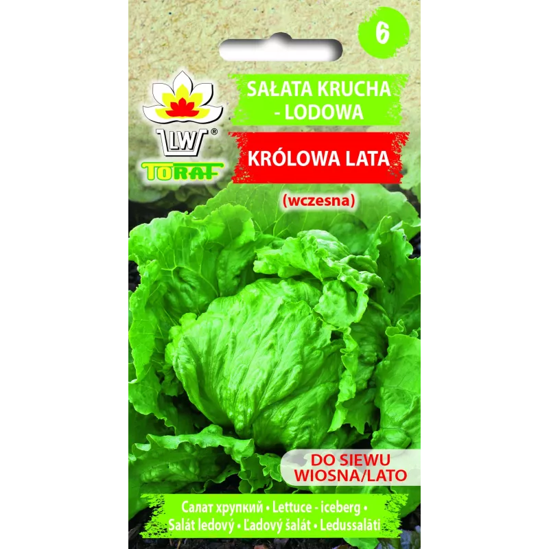 Crisp Ice Lettuce Summer Toraf Vegetable Seeds, 1g Package