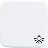 Busch-jaeger 2520 LI-214 Networking Device