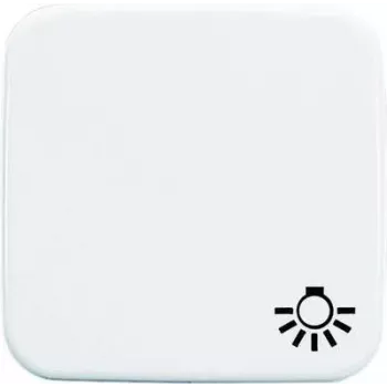 Busch-jaeger 2520 LI-214 Networking Device