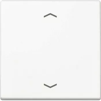 JUNG A 1700 P WW control button Standard arrow symbols A1700PWW