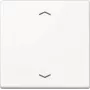 JUNG A 1700 P WW control button Standard arrow symbols A1700PWW