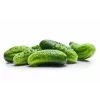 Srem Cucumber F1 Toraf Vegetable Seeds, 5g Pack