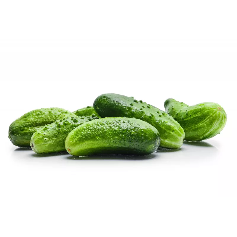 Srem Cucumber F1 Toraf Vegetable Seeds, 5g Pack